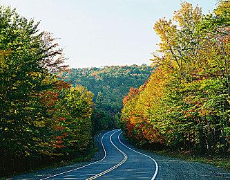 《全面战争：战锤3》全新食人魔王国基于引擎预告片